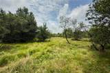 Lot 10 County Road 173 - Photo 11