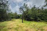 Lot 5 County Road 173 - Photo 15