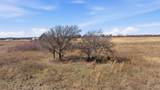 TBD Highway 81 - Photo 13