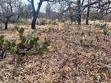 Lot 64 Janda Lane - Photo 1