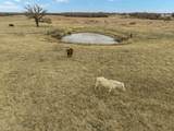 12434 Fm 937 - Photo 38