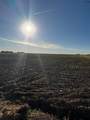 tbd Co Rd 4313 - Photo 2
