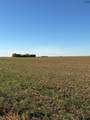 tbd Co Rd 4313 - Photo 3