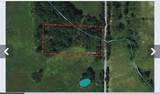 3136 County Road 1076 - Photo 5