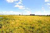000 Tarlton Road - Photo 11