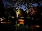 4512 Barwyn Court - Photo 39
