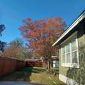 409 Sylvania Avenue - Photo 31