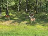 6707 Anchor Point - Photo 40