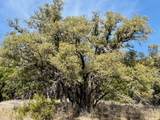 Lot 166 Private Road 16022 - Photo 10
