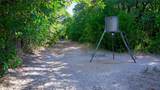 0 Deen Road - Photo 9