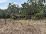 TBD County Road 218 - Photo 22