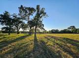 TBD County Road 3512 - Photo 1