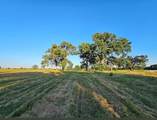 TBD County Road 3512 - Photo 3