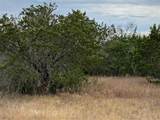 36064 Cedar Ridge Drive - Photo 1