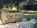36064 Cedar Ridge Drive - Photo 9