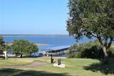 43096 Coneflower - Photo 10