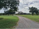 1584 Kelly Road - Photo 2