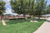 8033 Branch Hollow Trail - Photo 23