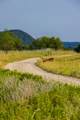 TBD Fortune Bend Road - Photo 19