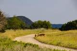 TBD Fortune Bend Road - Photo 20