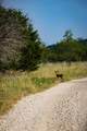 TBD Fortune Bend Road - Photo 21