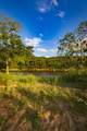 TBD Fortune Bend Road - Photo 23