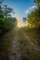 TBD Fortune Bend Road - Photo 30