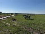 784 Shores Drive - Photo 15