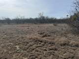 TBD 1.75 Acres Sherwood Drive - Photo 11