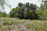 1407 Maple - Photo 8