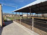 308 Alanis Drive - Photo 13