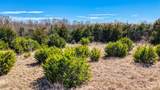 4109 Chisholm Trail - Photo 19
