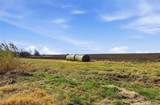 TBD 2 Fm 2114 Road - Photo 16