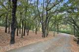 217 Williams Road - Photo 31