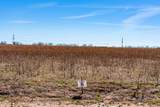 TRACT 11 982 Derstine Road - Photo 26