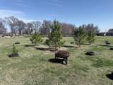 279 County Road 137 - Photo 19
