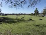 279 County Road 137 - Photo 37
