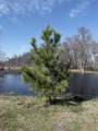 279 County Road 137 - Photo 39