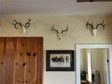291 County Road 3305 - Photo 11