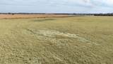 TBD Tolar Highway - Photo 2