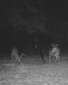 7222 Fm 905 - Photo 39