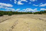 265 Cornstalk Road - Photo 11
