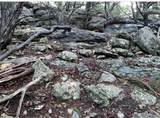 2005 Hells Gate Loop - Photo 5