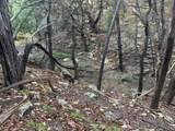 2005 Hells Gate Loop - Photo 6