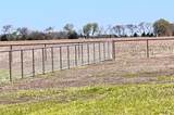 8701 County Road 502 - Photo 40