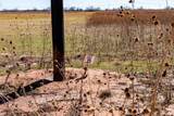 TRACT 35 982 Derstine Road - Photo 18