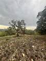TBD Tyler Trail - Photo 17