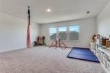 3533 Redbud Flower Trail - Photo 12