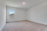3533 Redbud Flower Trail - Photo 13