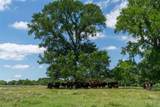 248 Shaffer Road - Photo 34